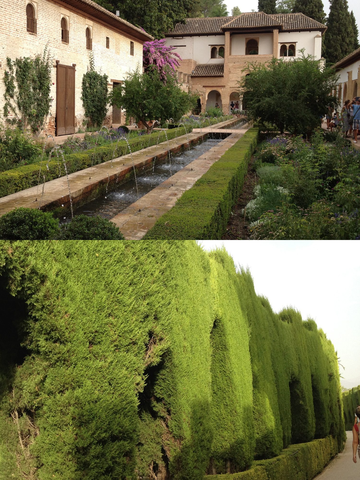Granada.  en Marbella