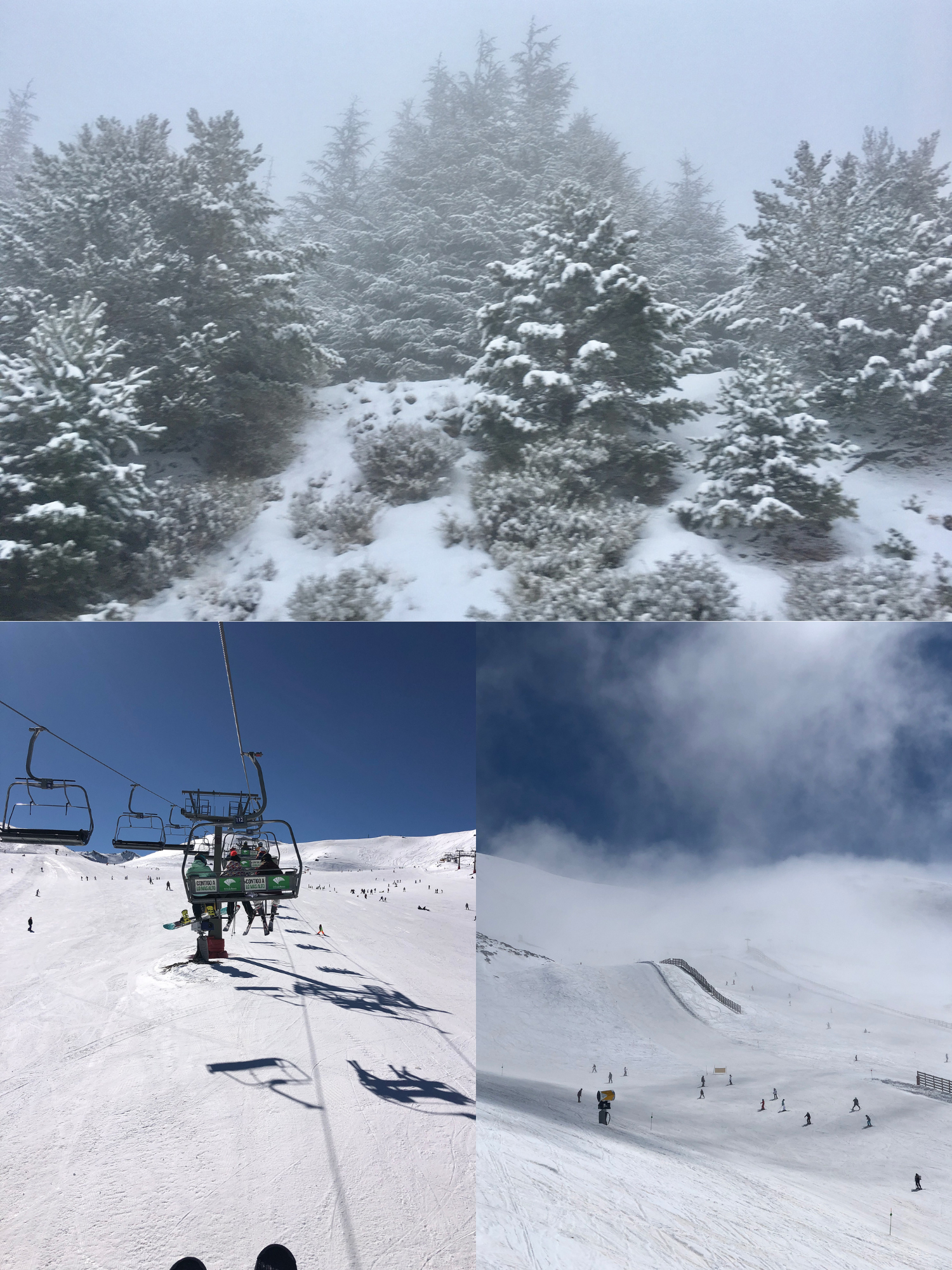 Sierra Nevada.  en Marbella